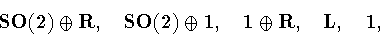 \begin{displaymath}{\bf SO(2)}\oplus{\bf R},\quad {\bf SO(2)}\oplus{\bf 1}, \quad {\bf 1}\oplus{\bf R}, \quad {\bf L}, \quad {\bf 1},
\end{displaymath}